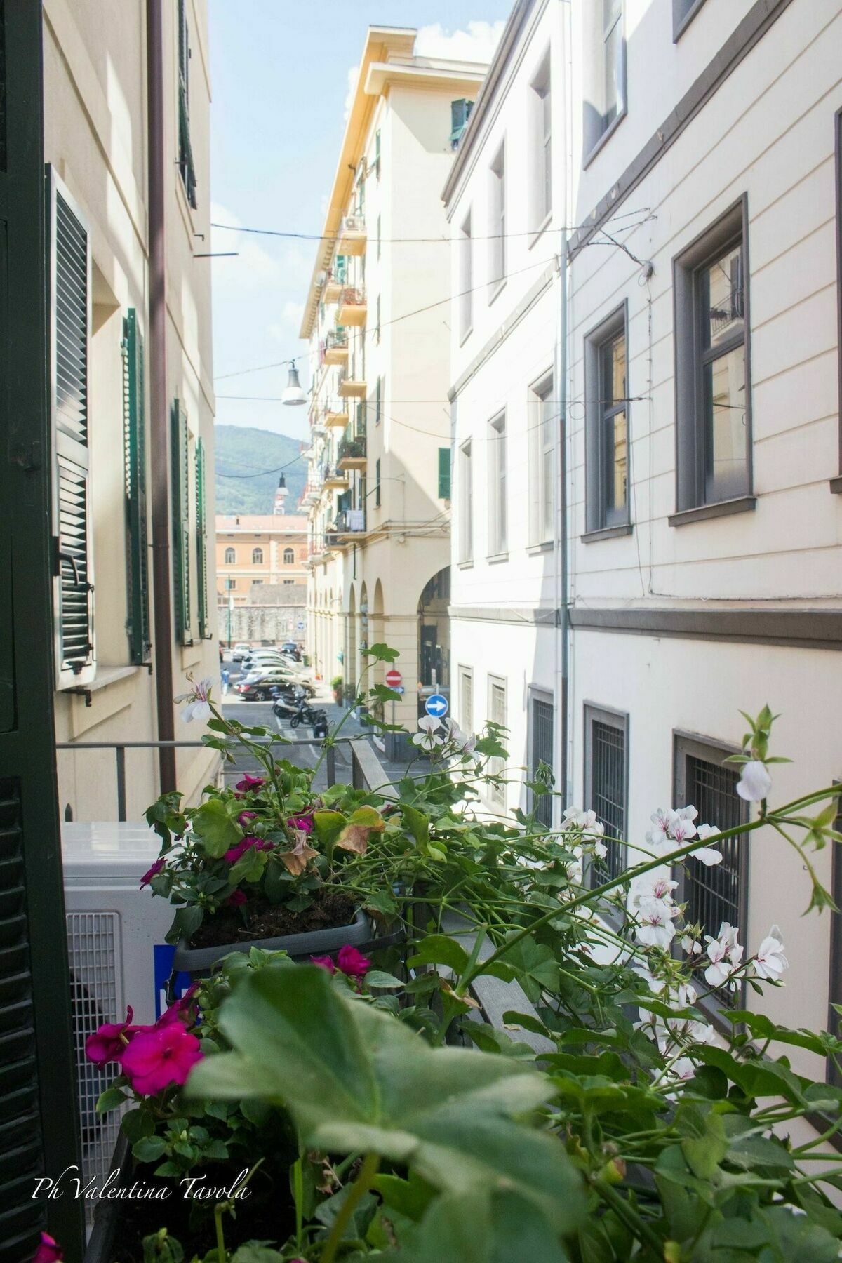 L'approdo Dell'ammiraglio
